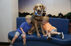 Mount Sinai Hospital, Medical…